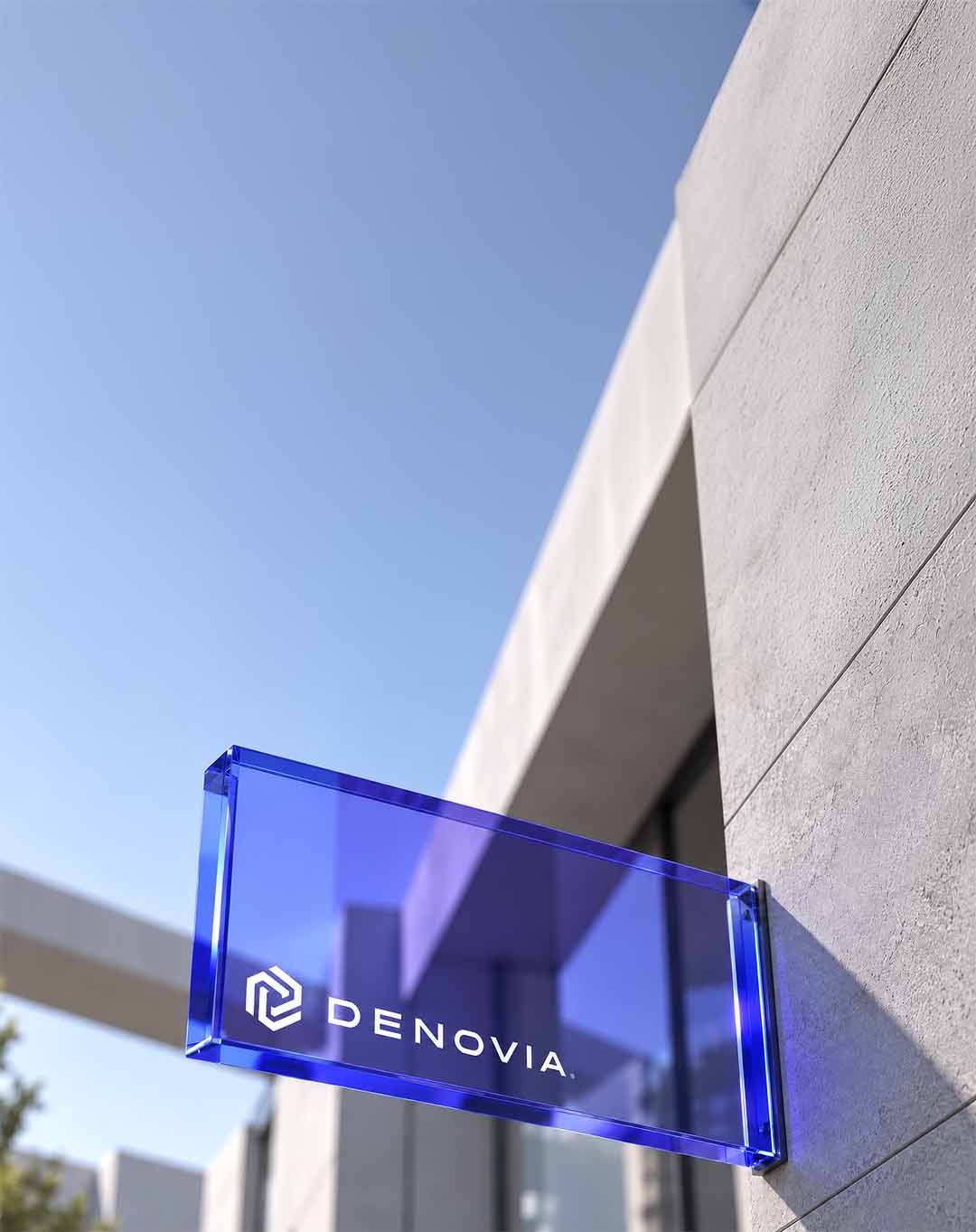 Denovia