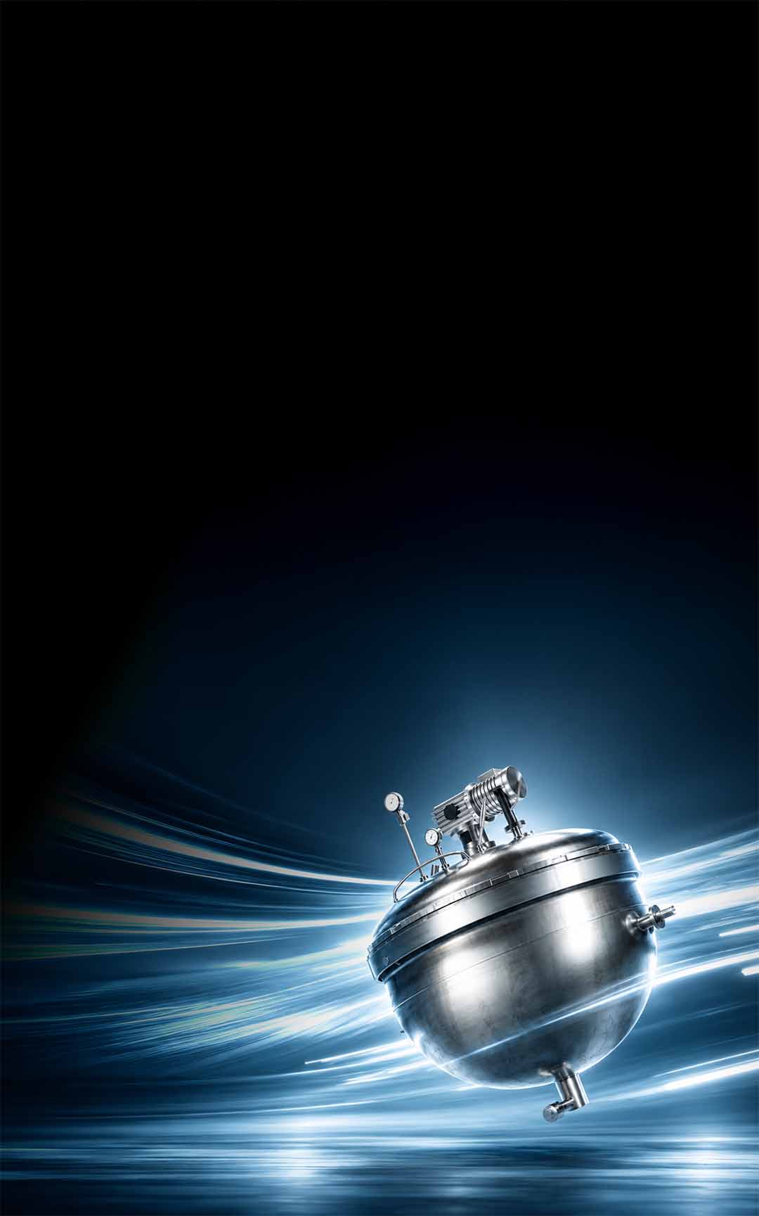 Denovia Newsletter